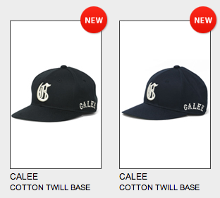 スクリーンショット（2013-01-29 18.39.27）.png